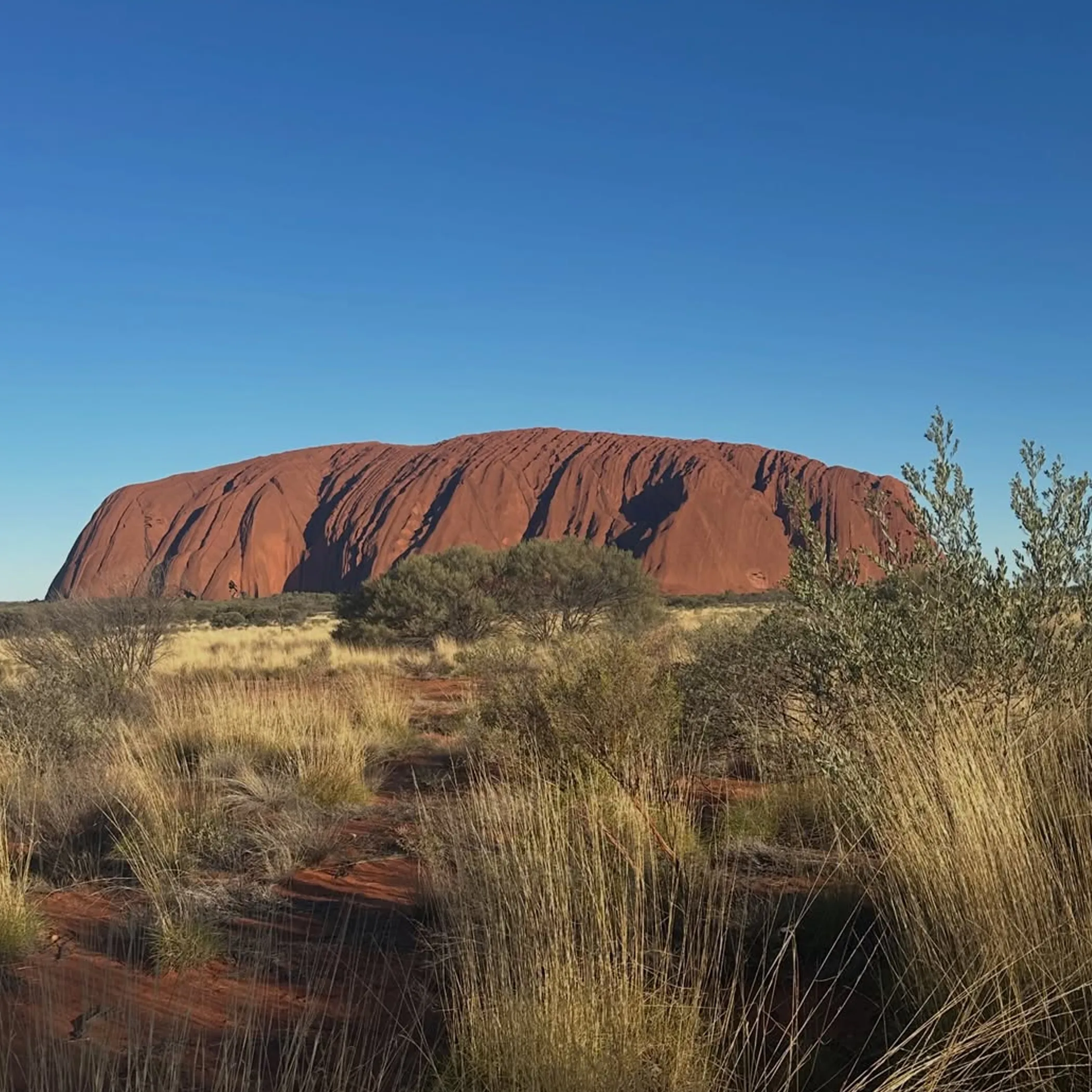 uluru in a clear photograph